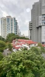Robin Residences (D10), Condominium #636326481